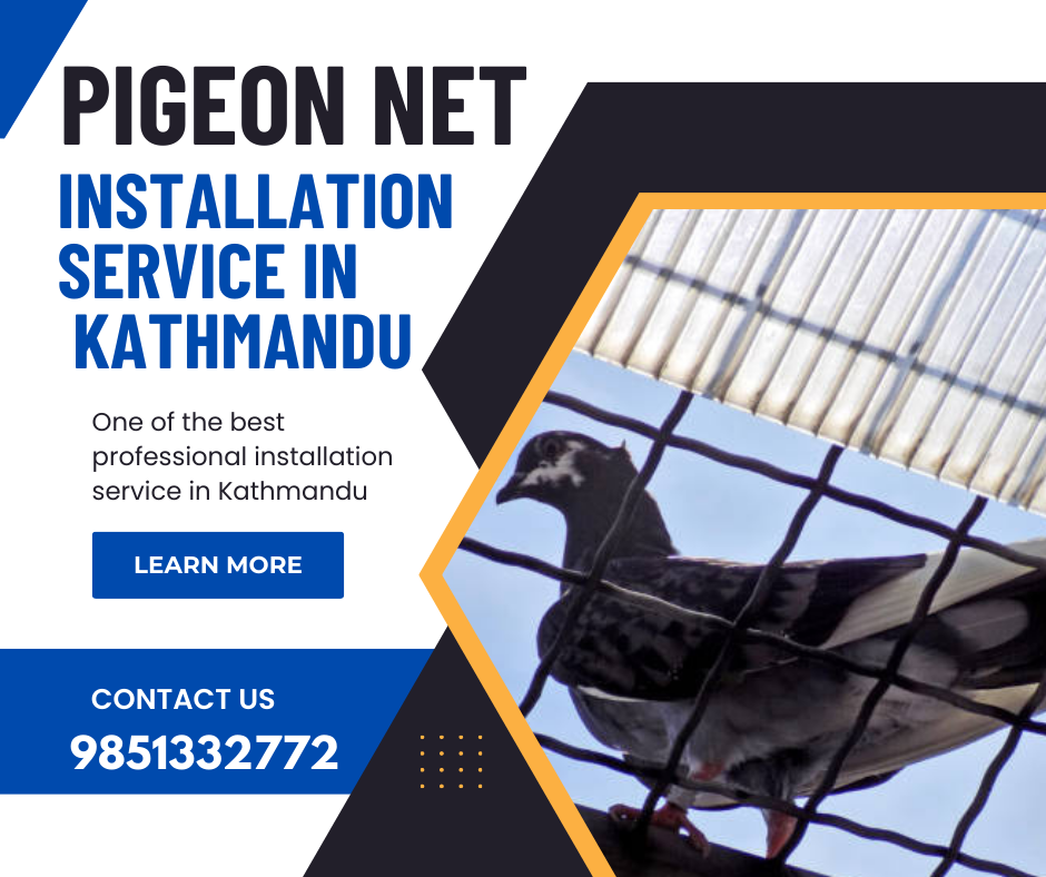 pigeon net installation service in kathmadu