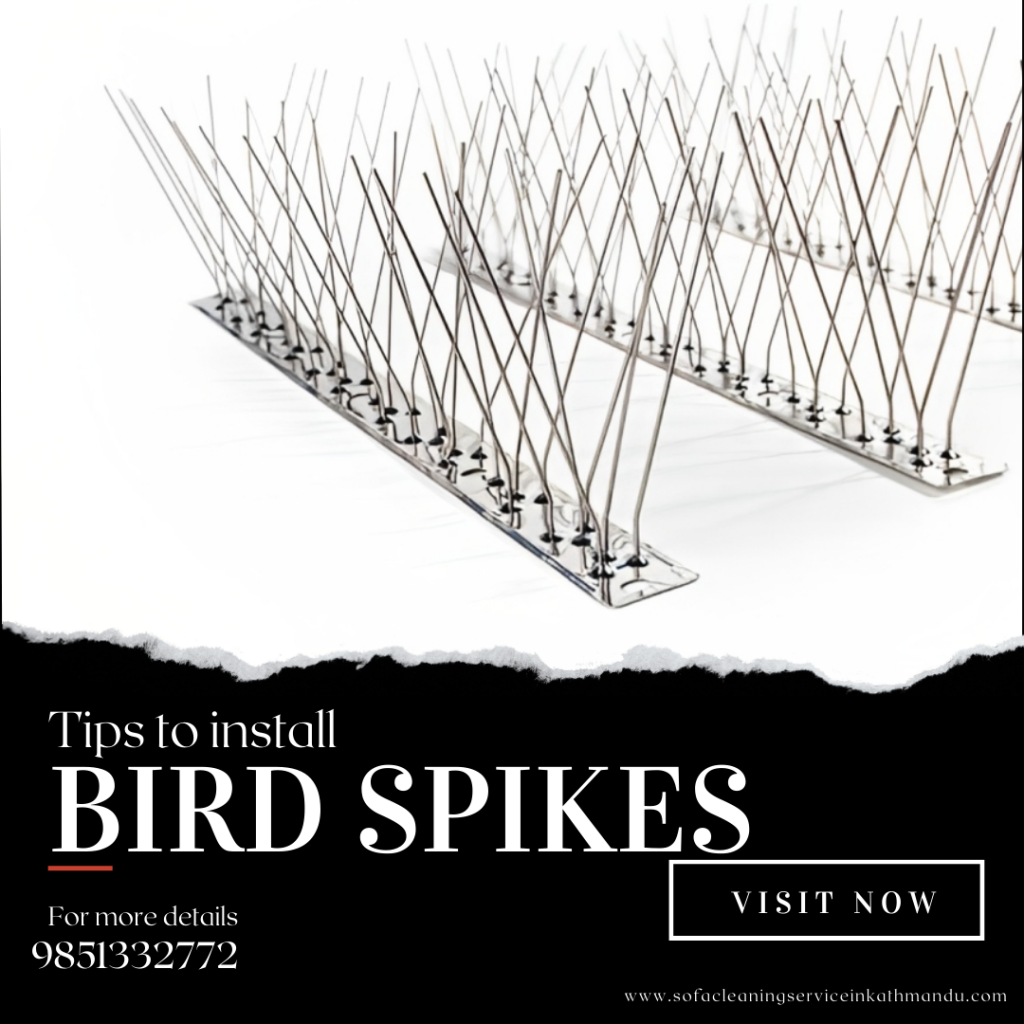 tips for install bird spikes