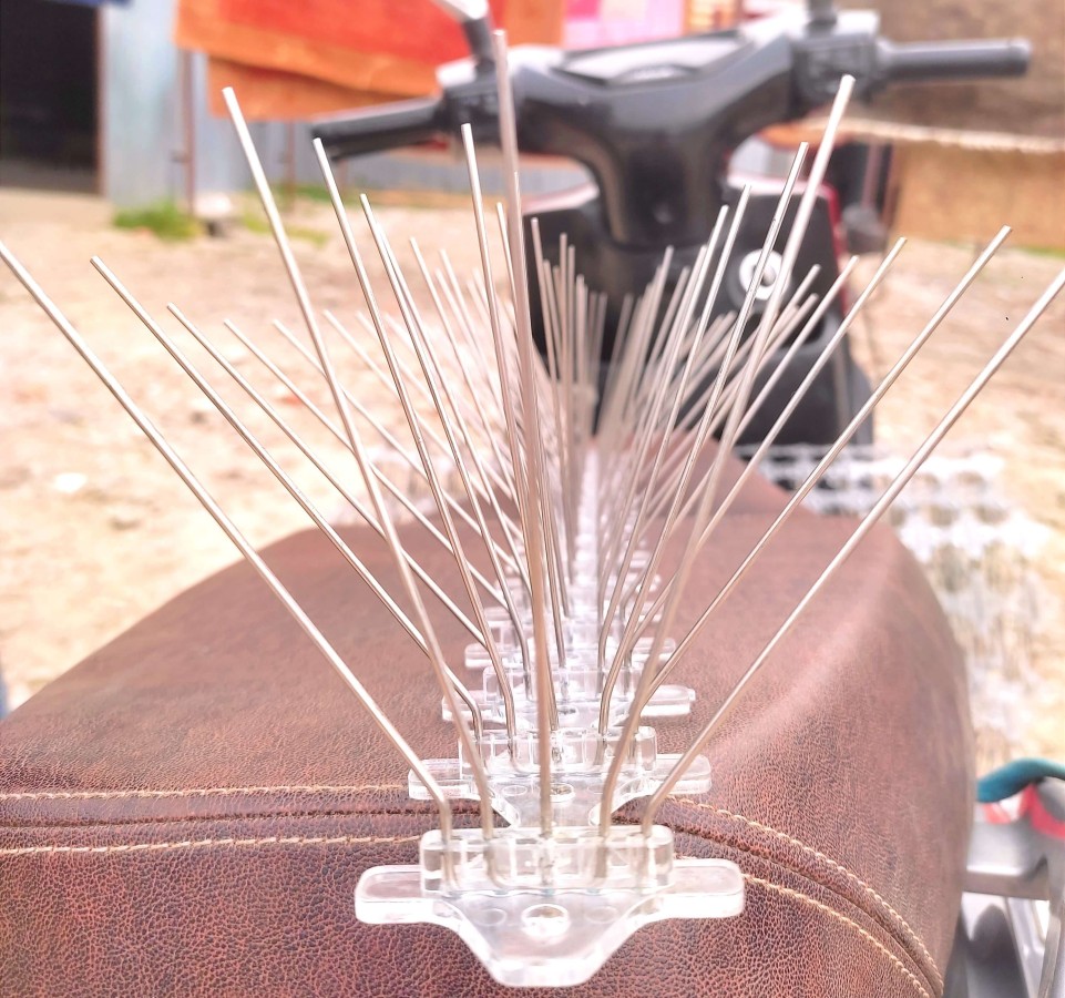 5 pin bird spikes in scooter seat